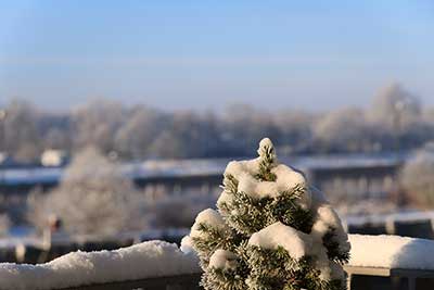 Kleine schneebedeckte Tanne auf dem Balkon